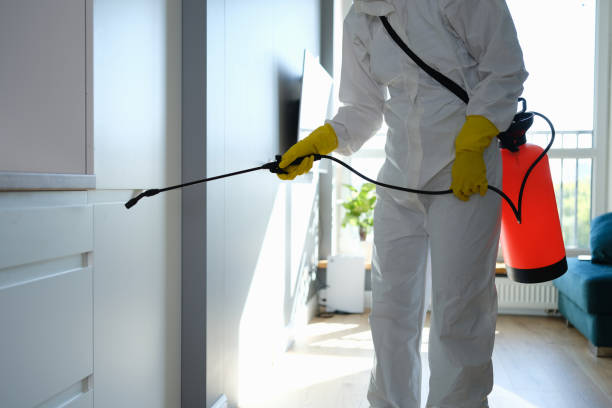 Best Emergency Mold Remediation  in Yellville, AR